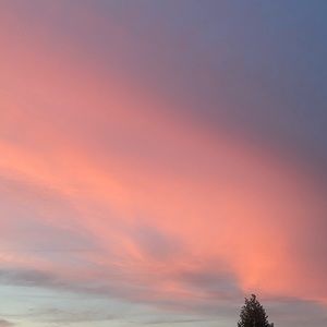 Meet your Posher, Miranda